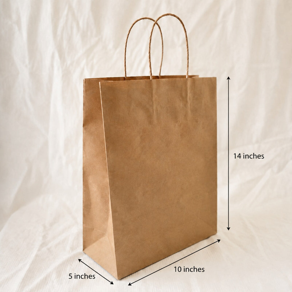 Kraft Brown Paper Bag 10x5x14 inch