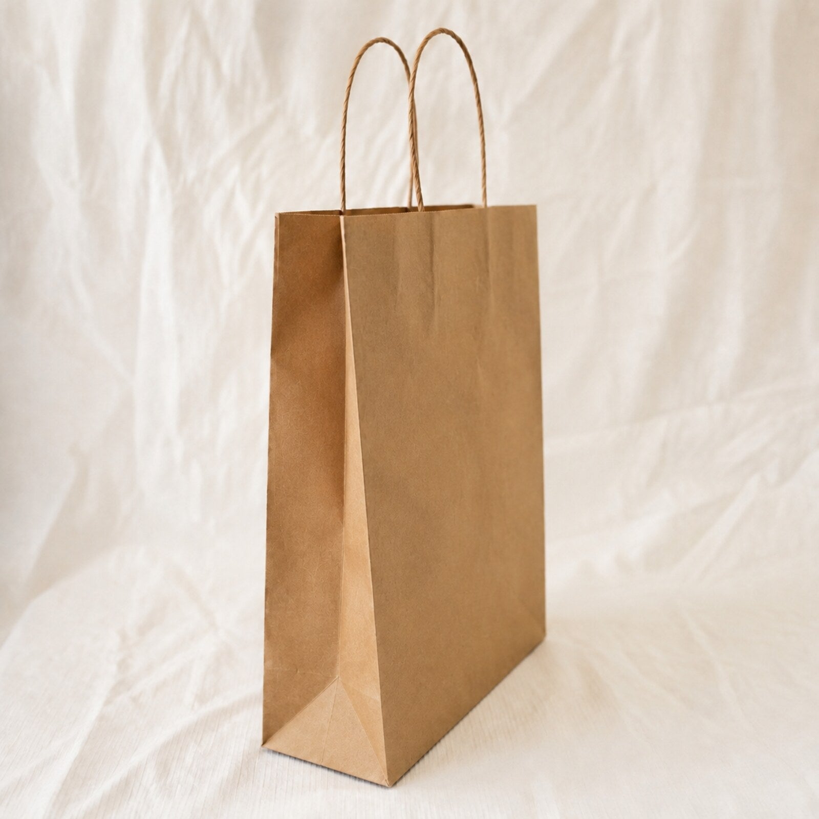 Kraft Brown Paper Bag 10x5x14 inch