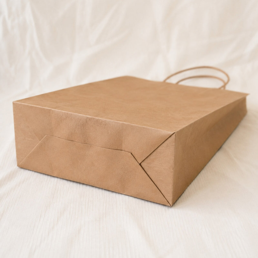 Kraft Brown Paper Bag 10x5x14 inch