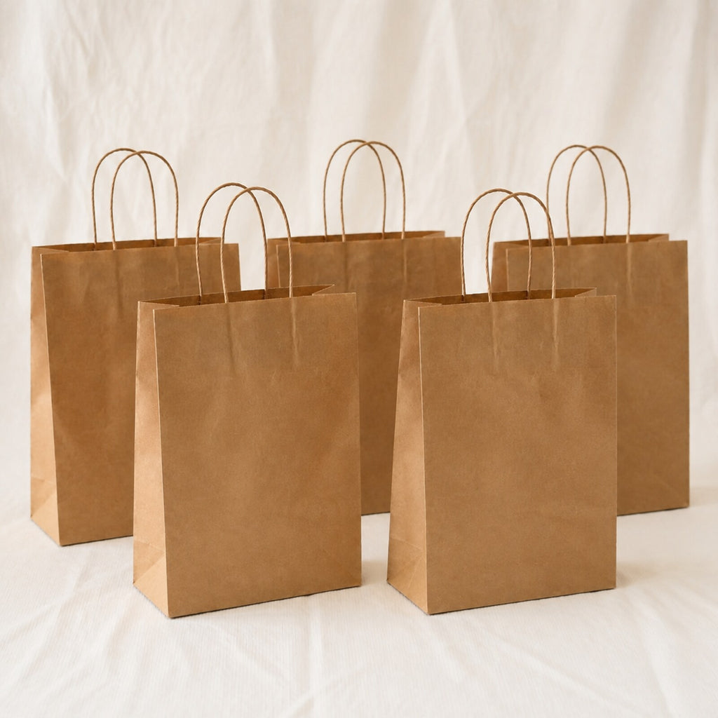 Kraft Brown Paper Bag 10x5x14 inch