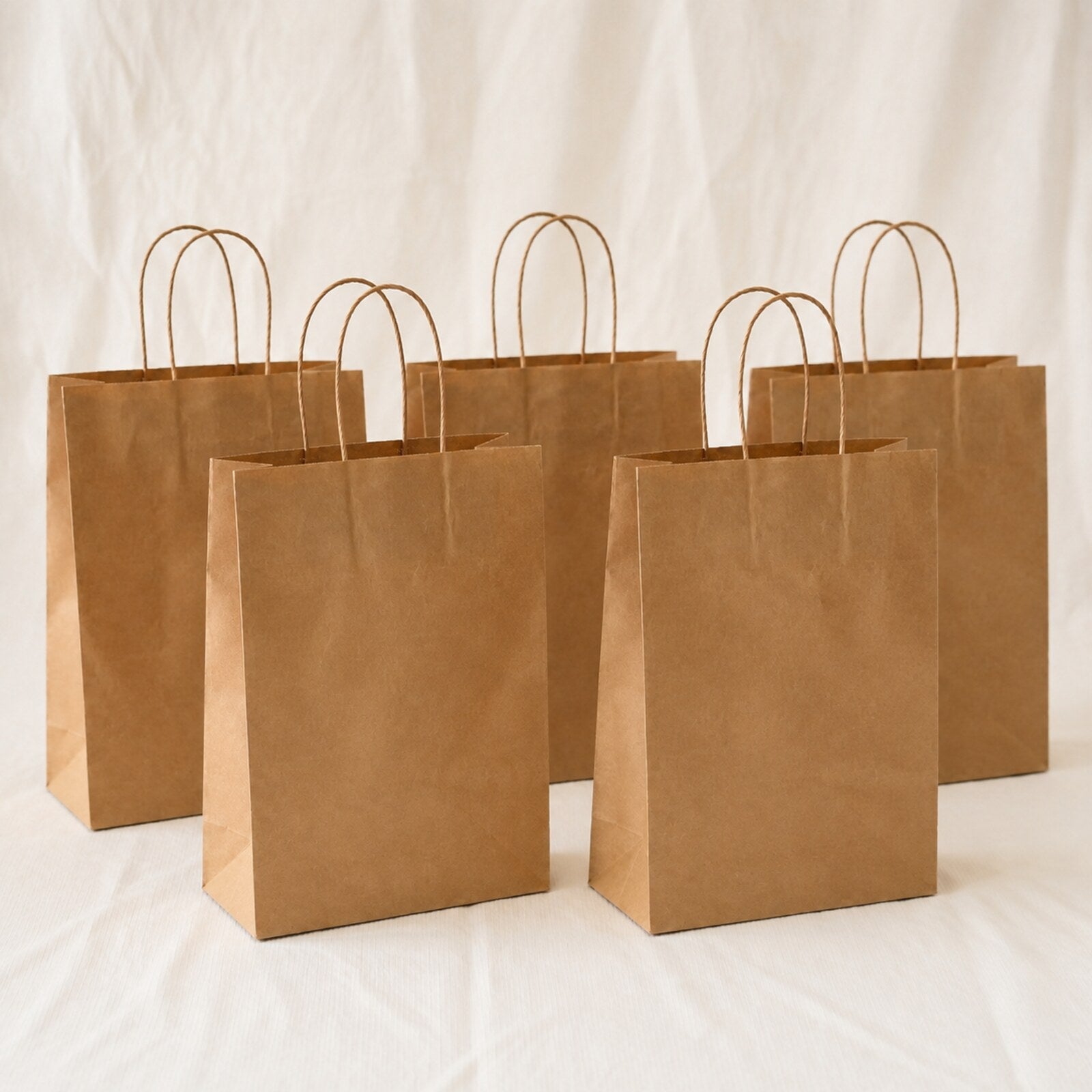 Kraft Brown Paper Bag 10x5x14 inch