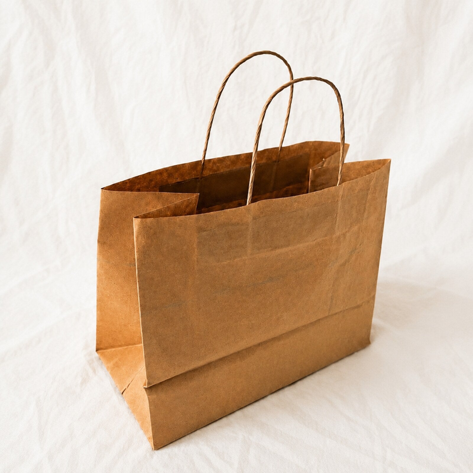 Kraft Brown Paper Bag 11x6x10 inch