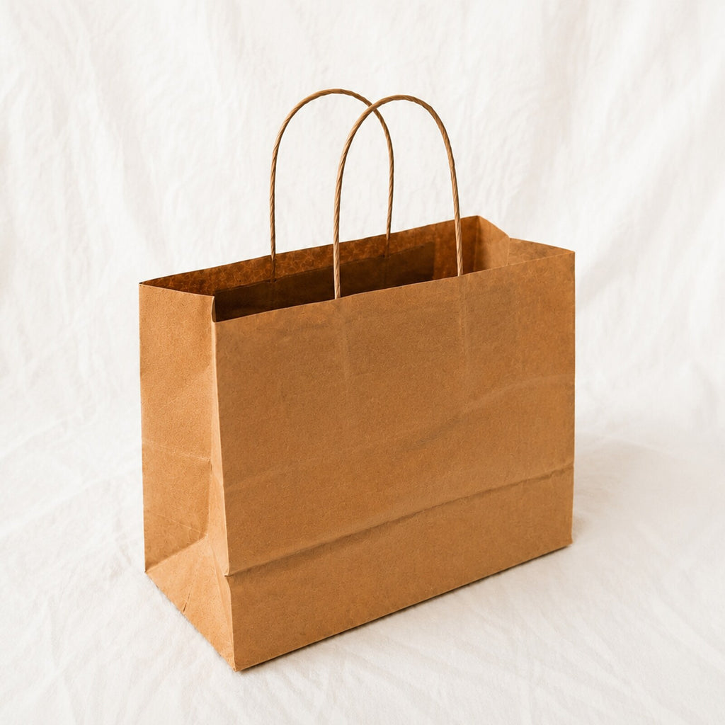 Kraft Brown Paper Bag 11x6x10 inch