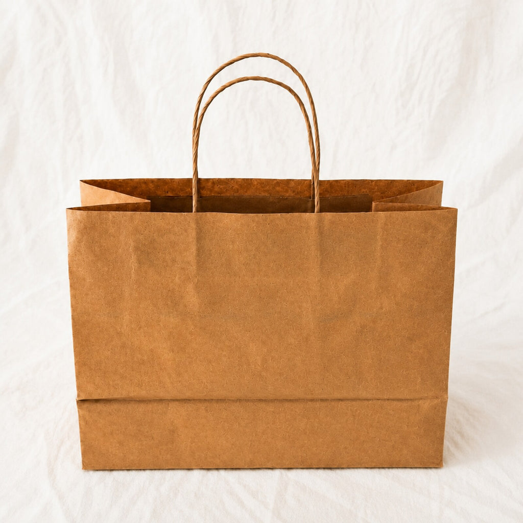 Kraft Brown Paper Bag 11x6x10 inch