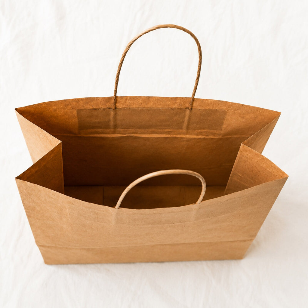 Kraft Brown Paper Bag 11x6x10 inch