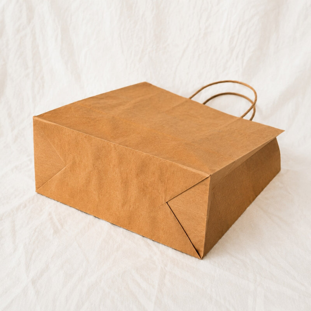 Kraft Brown Paper Bag 11x6x10 inch