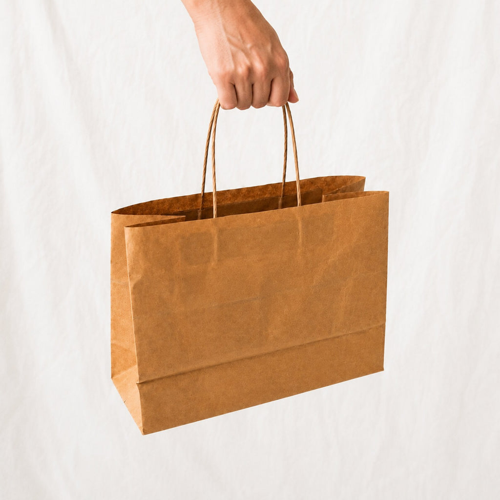 Kraft Brown Paper Bag 11x6x10 inch