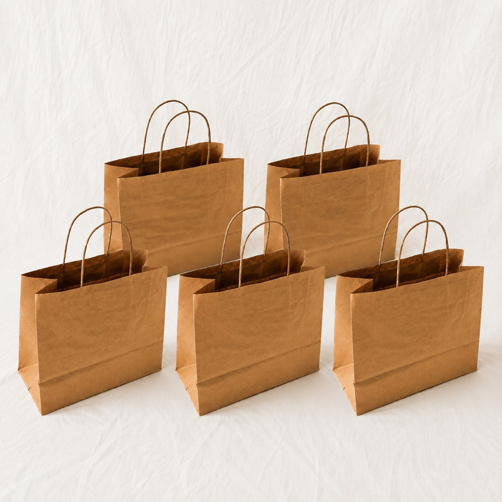 Kraft Brown Paper Bag 11x6x10 inch