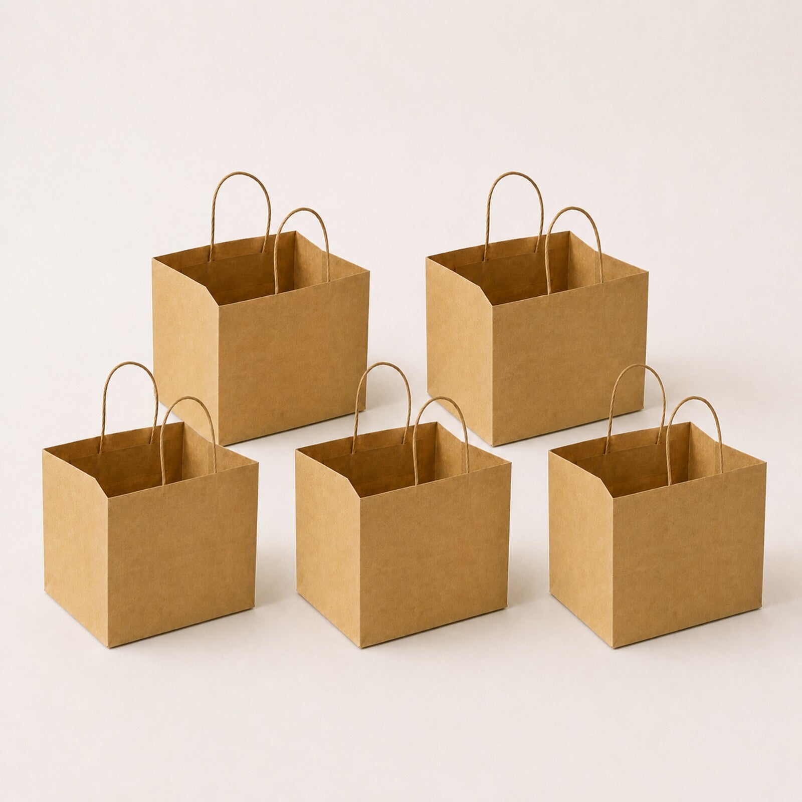 Kraft Brown Paper Bag 9x9x8 inch